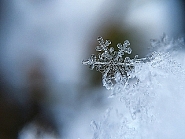 Beugen Sie Frostschäden frühzeitig vor, sonst kann es teuer werden.